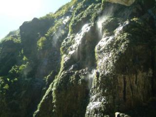 200608_t19.jpg