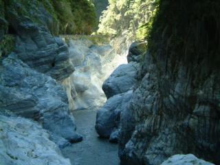 200608_t20.jpg