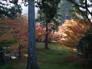 200711_kyoto07.jpg