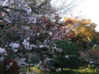 200711_kyoto09.jpg