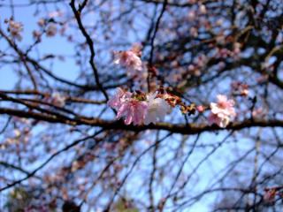 200711_kyoto10.jpg