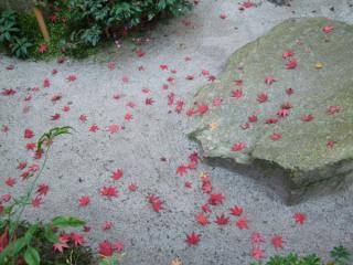 200711_kyoto11.jpg