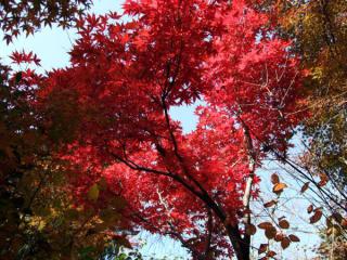200711_kyoto12.jpg