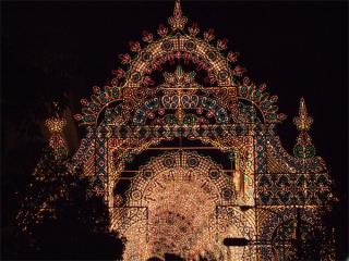 200712_ruminarie1.jpg