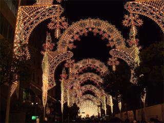 200712_ruminarie2.jpg