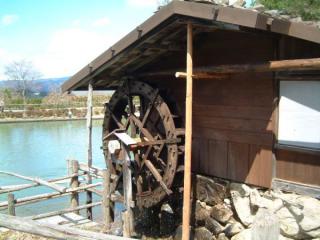 20070415_t02.jpg