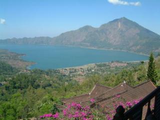 20080930_b01.jpg