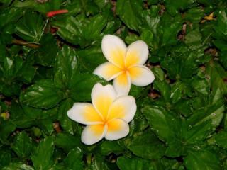 20080930_b04.jpg