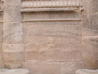 200801_egypt21.jpg