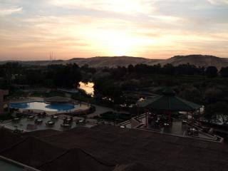 200801_egypt24.jpg