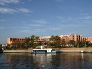 200801_egypt25.jpg