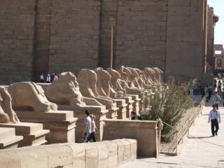 200801_egypt27.jpg