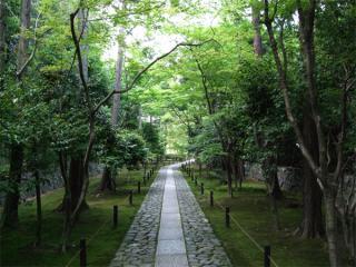kyoto06.jpg