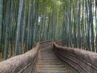 kyoto13.jpg