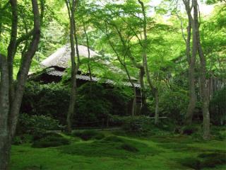 kyoto14.jpg