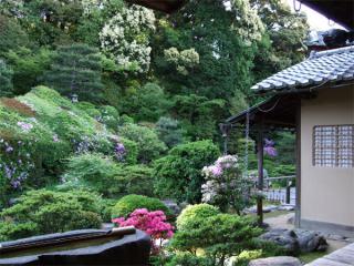 kyoto19.jpg