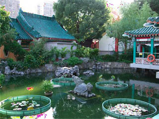 hkn13.jpg