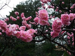 kanazawa05.jpg