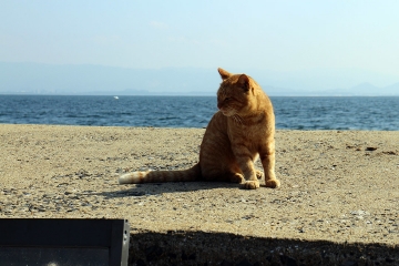 201611_hk34.jpg