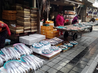 201712_pusan_05.jpg