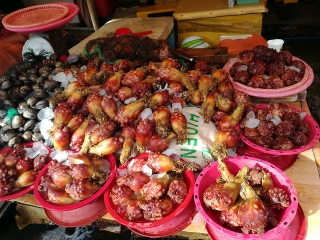 201712_pusan_06.jpg